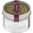 Grüner Pfeffer